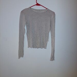 Shinny zara mesh top
